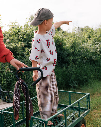 Gingham Lucky Pants