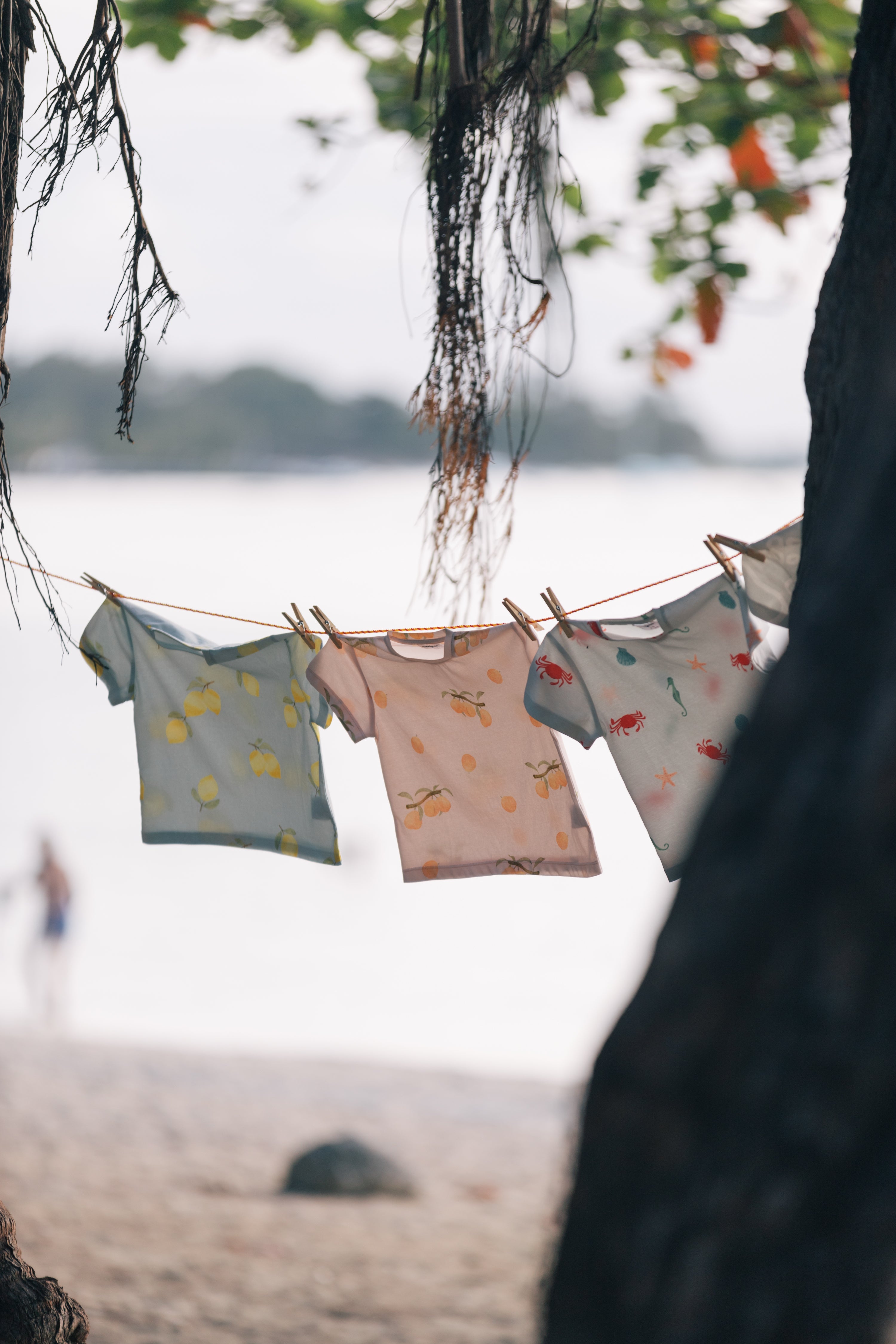 Wildgreen’s Island Life collection displayed on a beachside washing line, featuring three organic cotton t-shirts in Lemon, Apricot, and Marine prints. Ethically made from 100% GOTS-certified fabric, these gender-neutral tees offer sustainable style for little ones. #OrganicKidswear #SustainableFashion